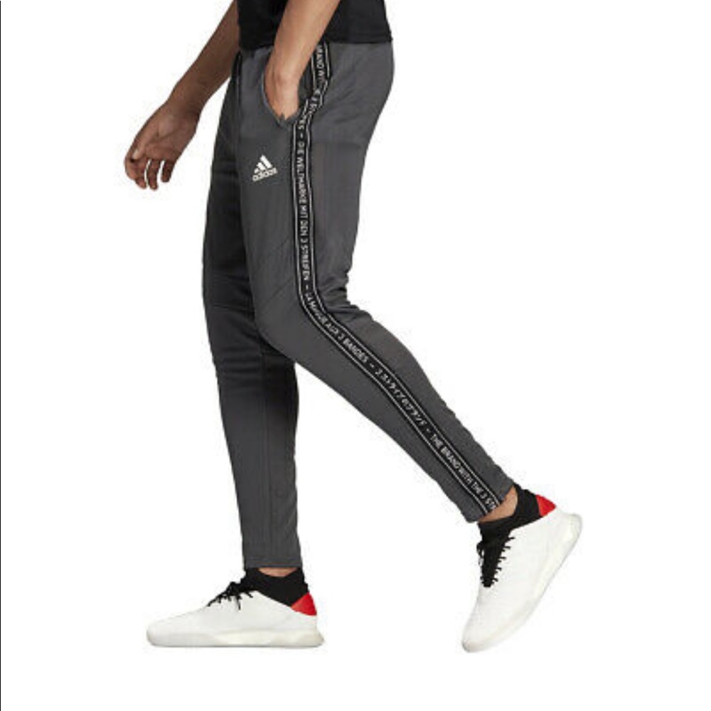 Adidas trio training pant dark grey